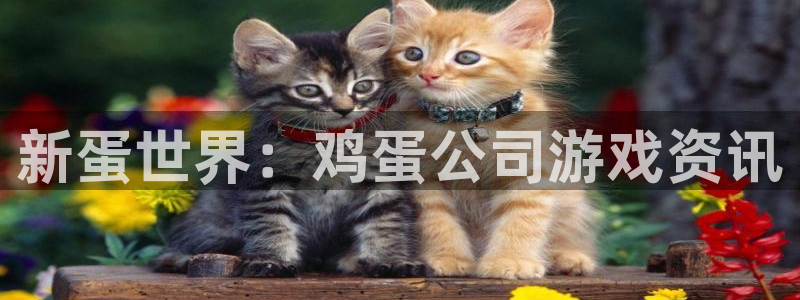 星欧娱乐注册测速：新蛋世界：鸡蛋公司游戏资讯