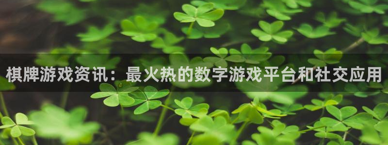 星欧娱乐4招商：棋牌游戏资讯：最火热的数字游戏平台和社交应用