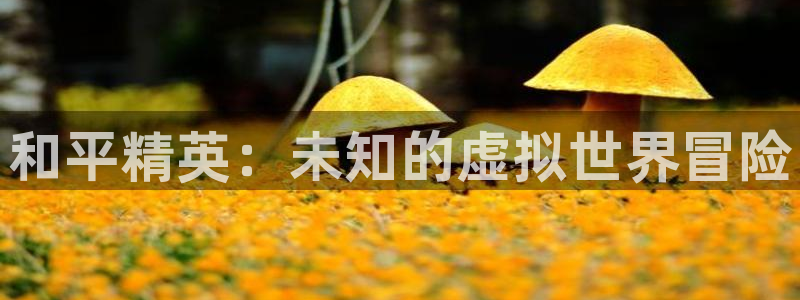 星欧娱乐平台官网客服电话：和平精英：未知的虚拟世界冒险