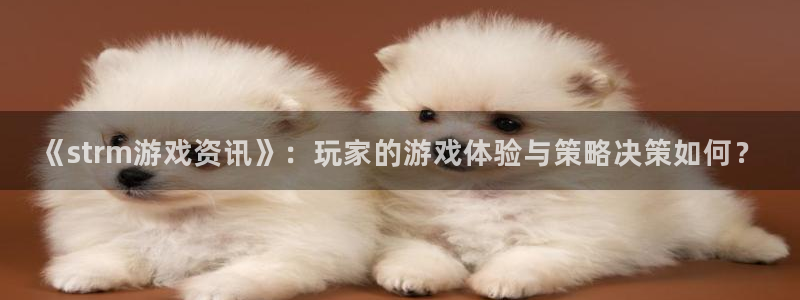 星欧娱乐网址官网：《strm游戏资讯》：玩家的游戏体验与策略