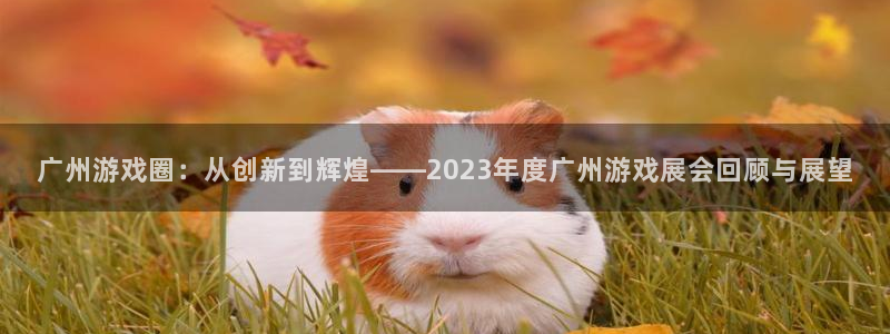 星欧娱乐什么意思：广州游戏圈：从创新到辉煌——2023年度广