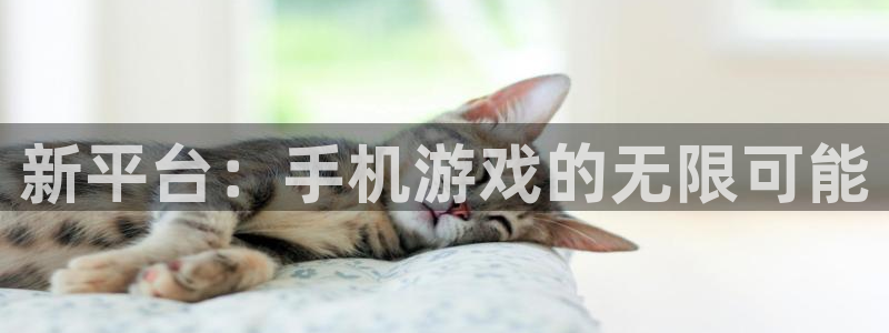 星欧娱乐平台官网注册：新平台：手机游戏的无限可能