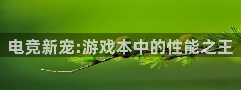 星欧娱乐注册账号：电竞新宠:游戏本中的性能之王