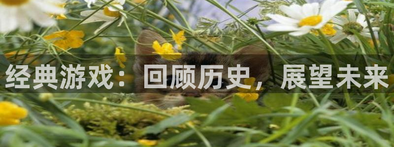 星欧娱乐4主管：经典游戏：回顾历史，展望未来