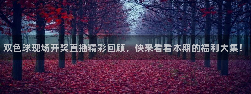 833直播体育免费观看入口：双色球现场开奖直播精彩回顾，快来看看本期的福利大集！