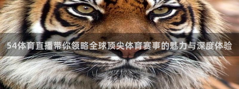 833直播免费体育直播：54体育直播带你领略全球顶尖体育赛事的魅力与深度体验