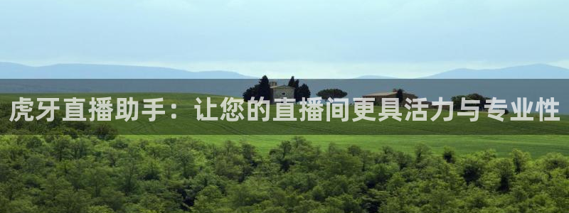 833足球赛事直播