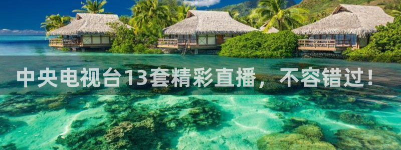 833体育在线直